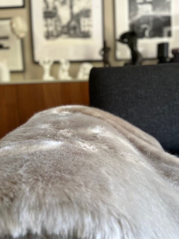 Rénovation d'un appartement d'artiste situé en plein coeur d'Aix en Provence : décoration soignée et objets d'art