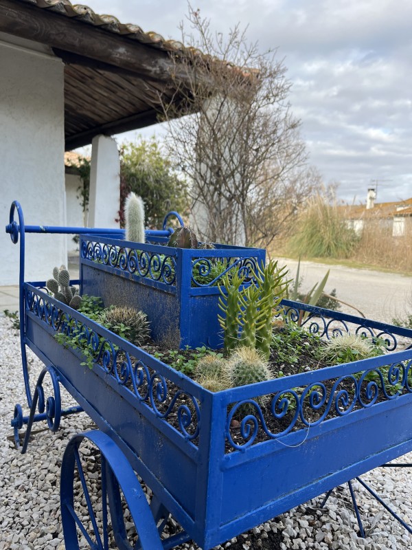Rénovation et décoration d’un hôtel aux Saintes Maries de la mer en Camargue