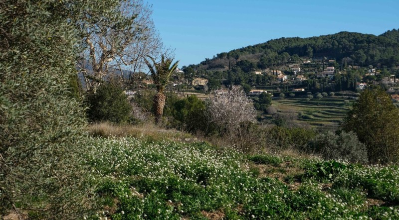 Rénovation et extension d'une maison dit le bastidon de Provence au Castellet dans le 83