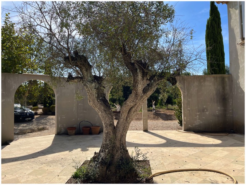 Une agence d’architecture d’intérieur qui intervient partout en France sur des espaces atypiques