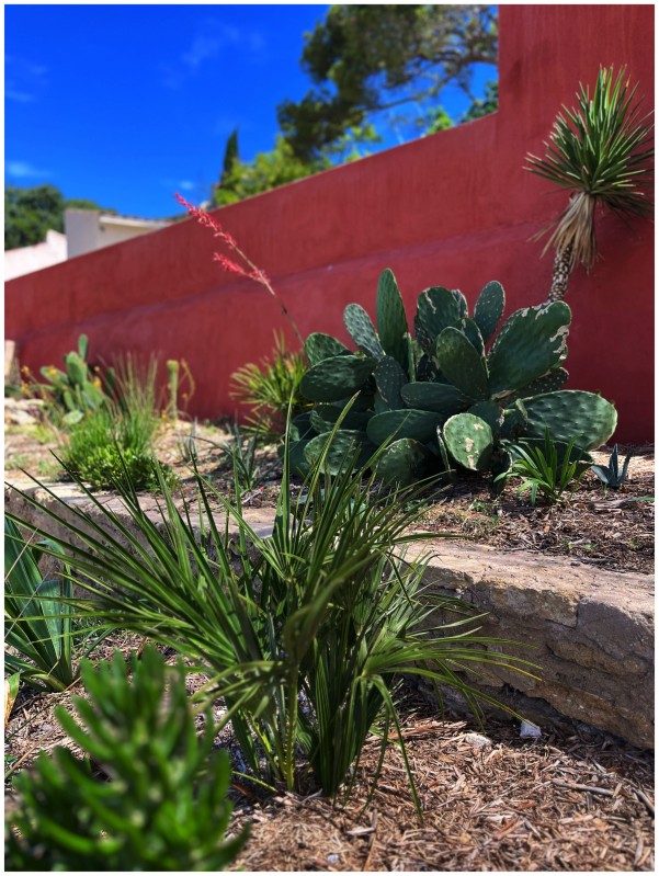 Une rénovation intérieure et extérieure pour cette maison dans le sud de la France située dans un petit village pittoresque de Provence