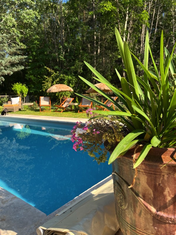 Aménagement d’un jardin dans le Luberon en relation avec la foret environnante du Colorado provençal à Rustrel