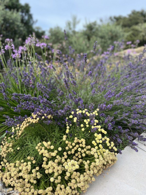 Une bastide entièrement aménagée et décorée par l’agence d’architecture d’intérieur située à Aix en Provence et à Rustrel