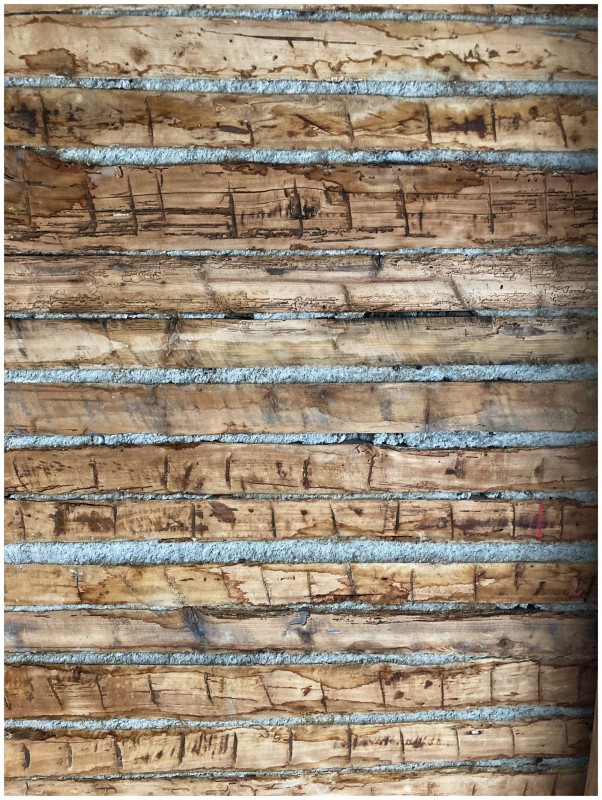 Architecte d'intérieur et décoratrice d'intérieur dans le Luberon