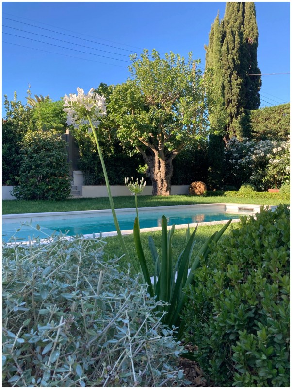 Jardins d’exception : création d’espaces paysagers en relation avec l’architecture d’intérieur dans le Sud de La France