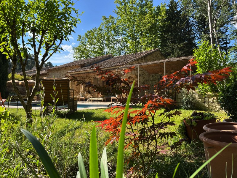 Aménagement d’un jardin dans le Luberon en relation avec la foret environnante du Colorado provençal à Rustrel