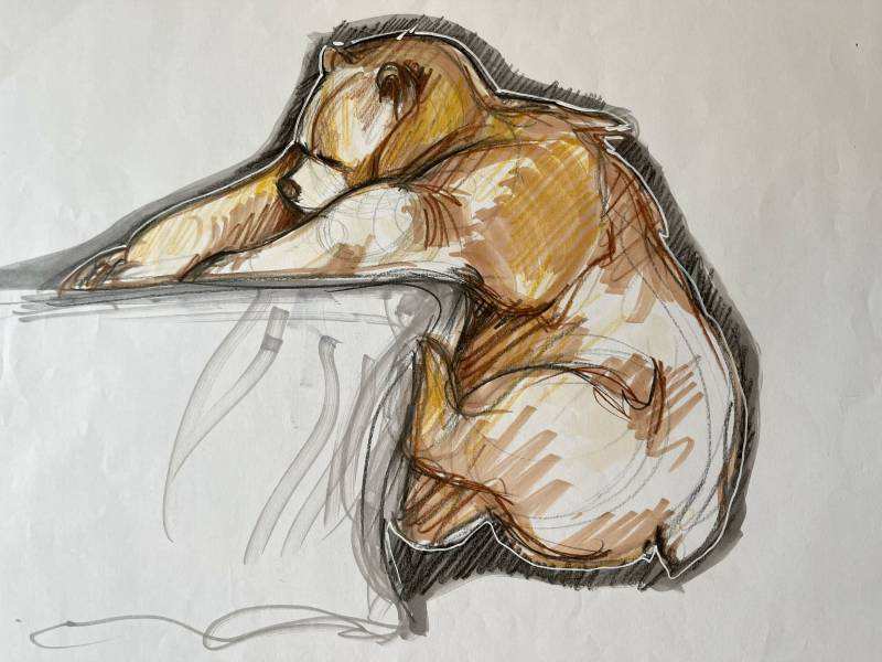 Stage et formations d'aquarelle et de dessin pour débutants ou initiés dans le luberon dans le Sud de la France en Provence