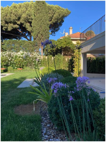 comment réaliser son jardin