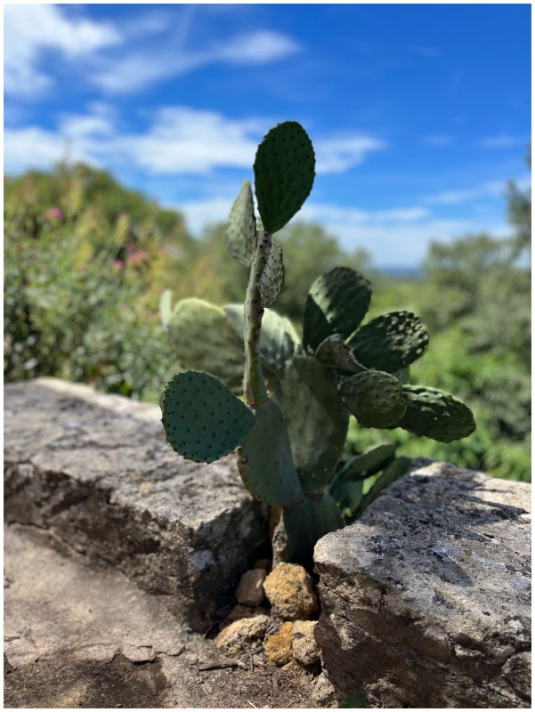 Une rénovation intérieure et extérieure pour cette maison dans le sud de la France située dans un petit village pittoresque de Provence