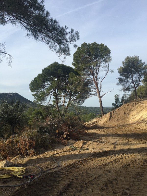 Quand un projet de rénovation d'une ruine se transforme en projet de construction dans le Sud de la France
