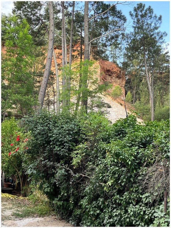 Aménagement d’un jardin dans le Luberon en relation avec la foret environnante du Colorado provençal à Rustrel