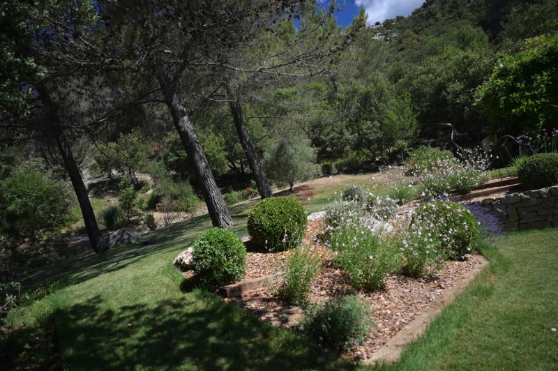 L' aménagement d'un jardin provençal aux formes courbes et rythmées inspiré des tableaux de Cézanne et de Picasso à Vauvenargues en pleine Provence