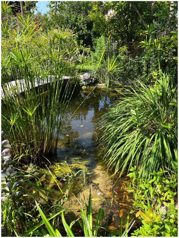 Rénovation intérieure et décoration pour cette maison de famille dans le Sud de la France en plein centre ville sur les hauteurs d’Aix en Provence