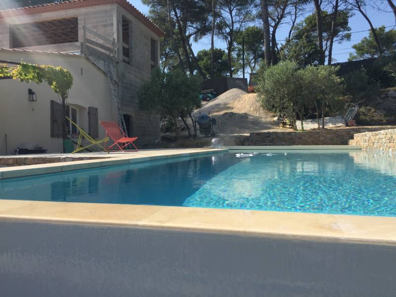 piscine et extérieur paysager